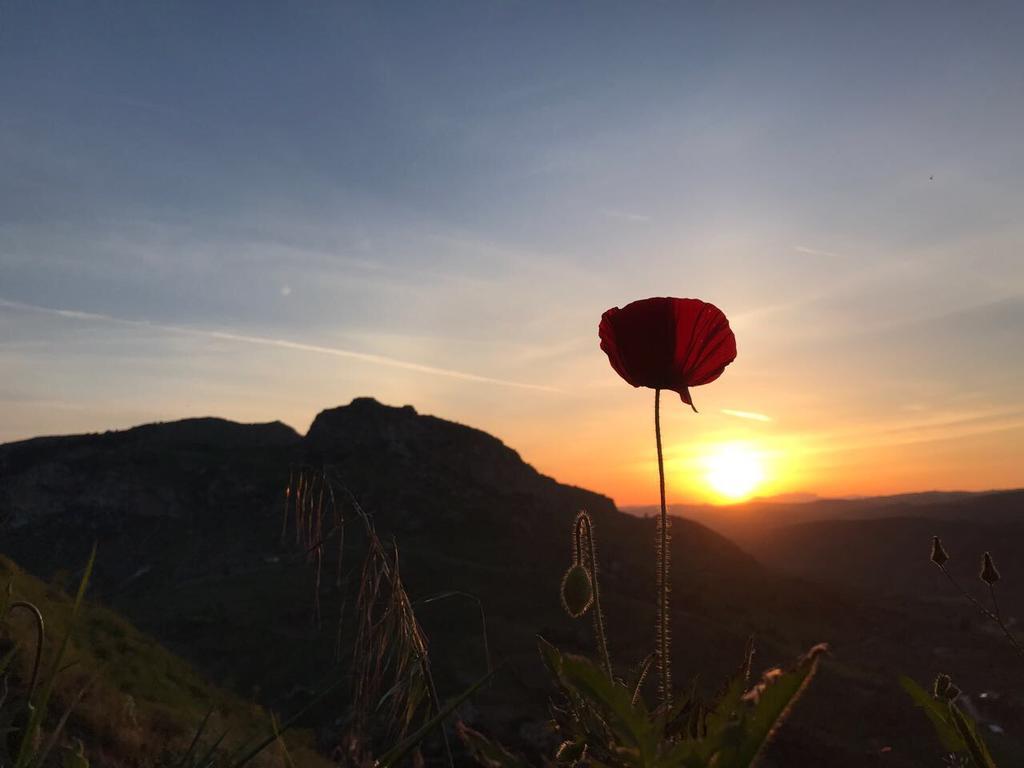 Agriturismo Tenuta San Giovanni Casale Leto SantʼAngelo Muxaro Εξωτερικό φωτογραφία