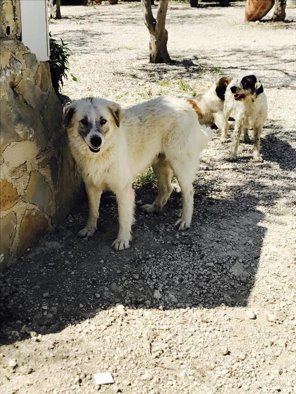 Agriturismo Tenuta San Giovanni Casale Leto SantʼAngelo Muxaro Εξωτερικό φωτογραφία